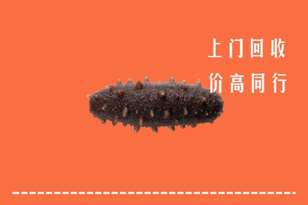 江城县回收海参