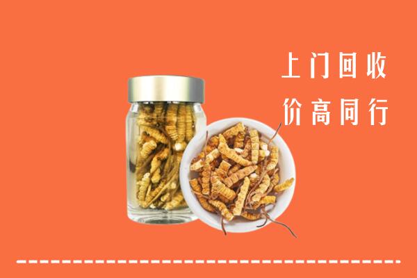江城县回收冬虫夏草